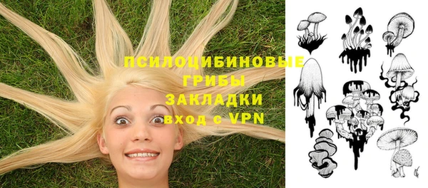 бутик Бородино