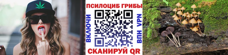 kraken ссылки  Армавир  Галлюциногенные грибы мухоморы 